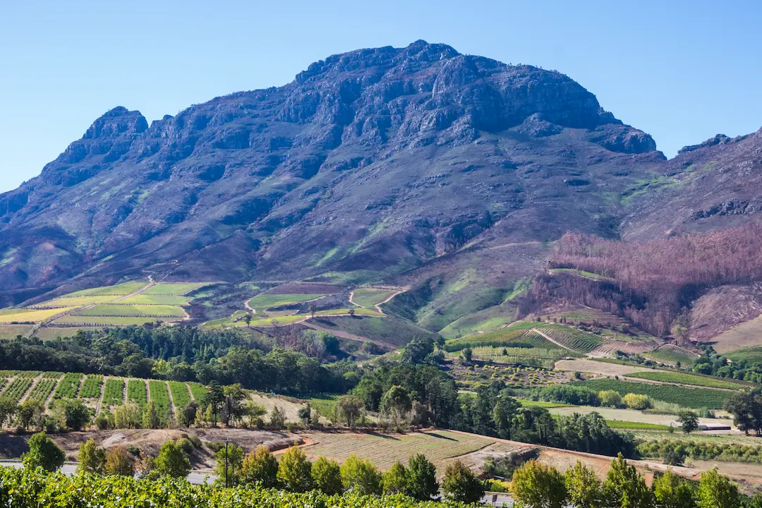 South Africa Selection contest thumbnail