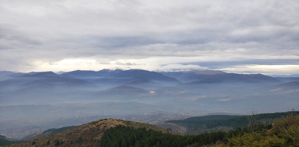 Skopje's wine culture