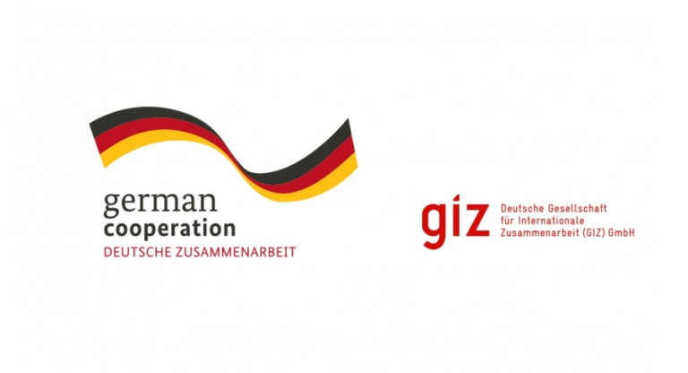 Logo (Deutsche Gesellschaft fur Internationale Zusammenarbeit)